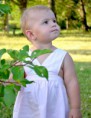 /album/kepgaleria-kollar-anna/dsc-0087-jpg/