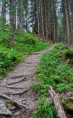 /album/kepgaleria-szlovakia-szepsegei-/dsc-0565-jpg/